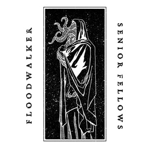 Floodwalker / Senior Fellows "Split" 10" Vinyl